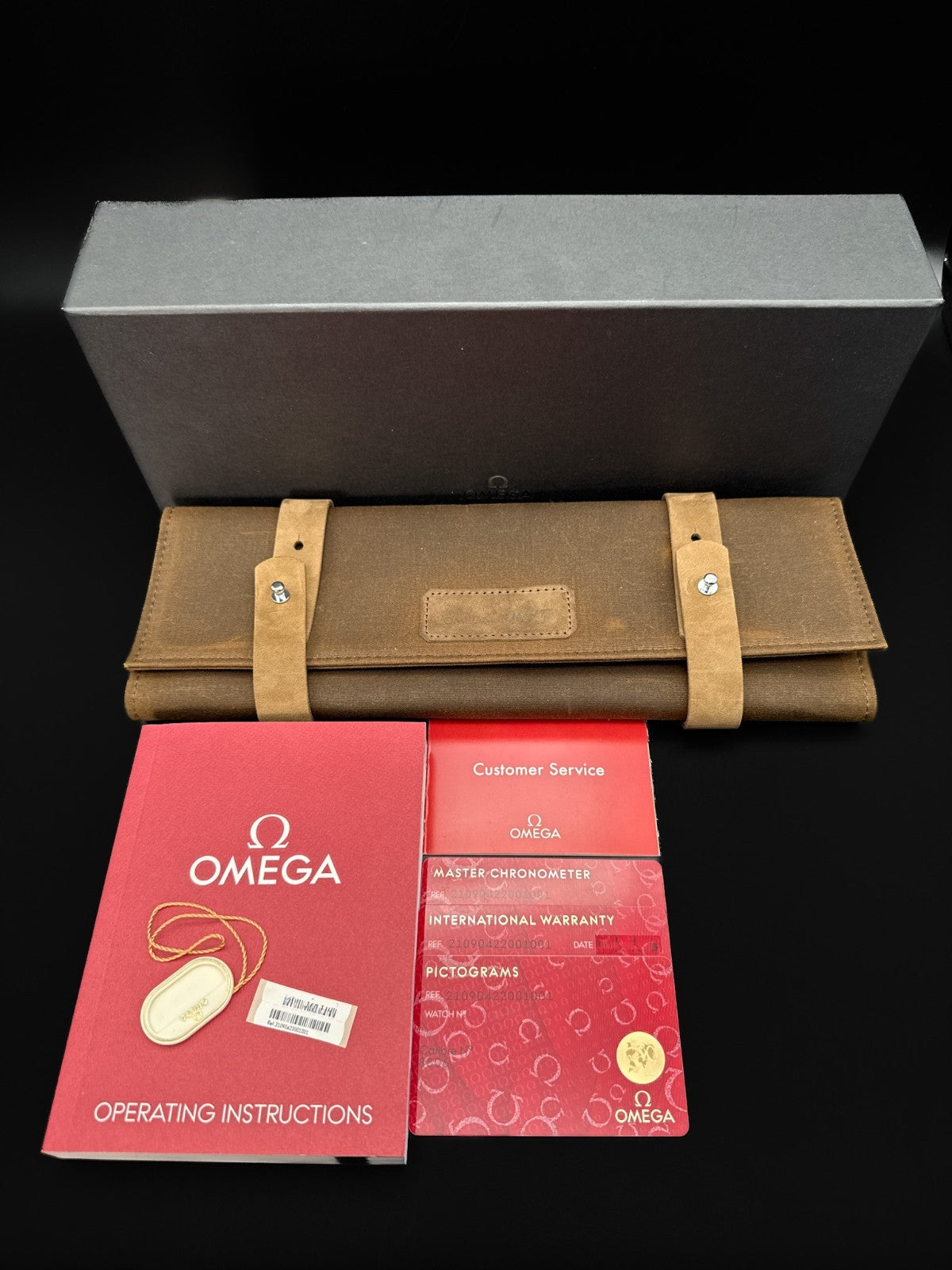 OMEGA Seamaster Diver 300M 210.90.42.20.01.001 No Time To Die Titanium 42mm10