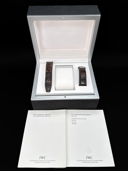 IWC Pilot's Watch Silver Men's Watch with Black Leather Strap - IW3255028