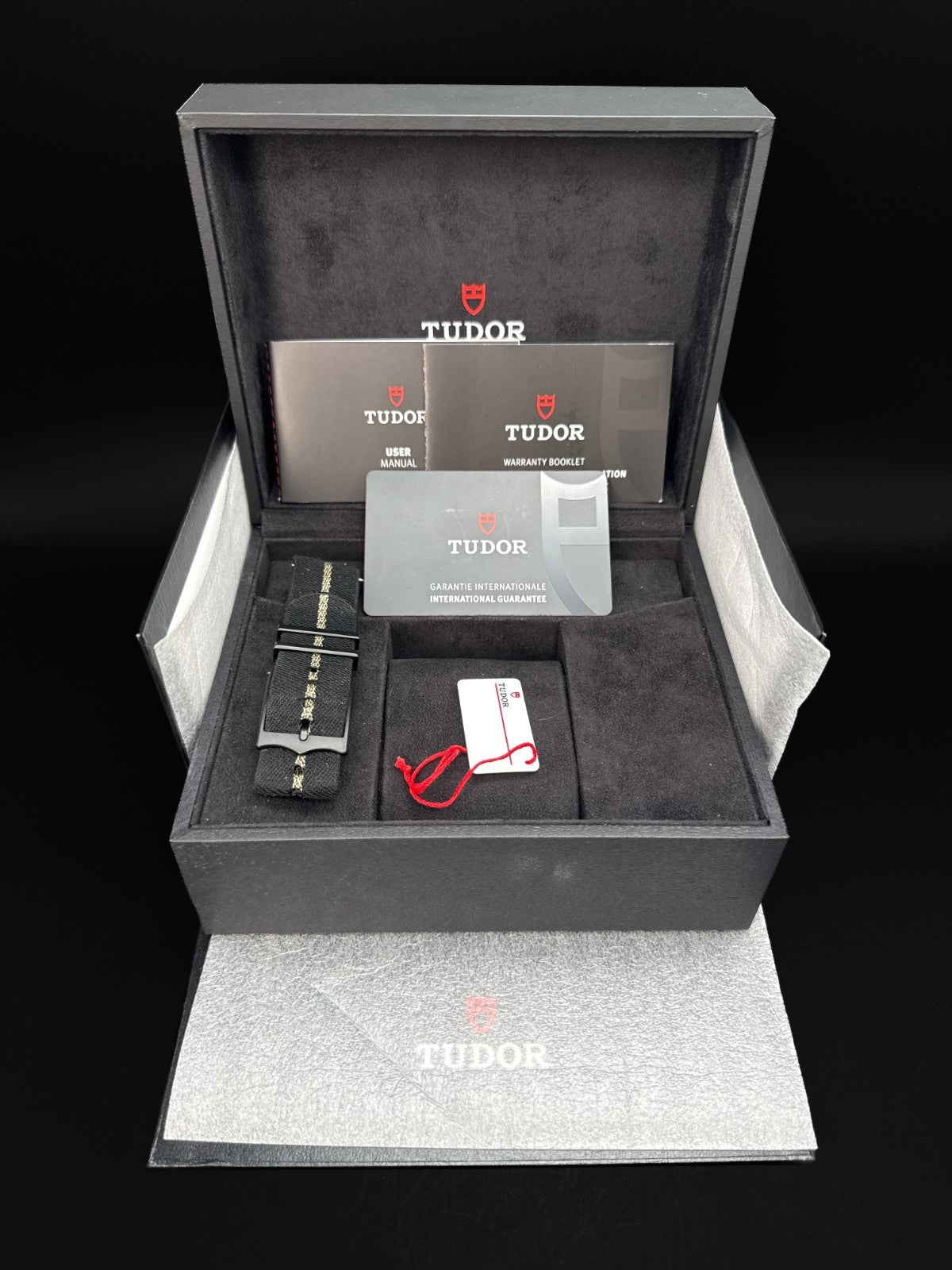 TUDOR Black Bay Ceramic M79210CNU-0001 Black Dial 41mm Watch - 20229