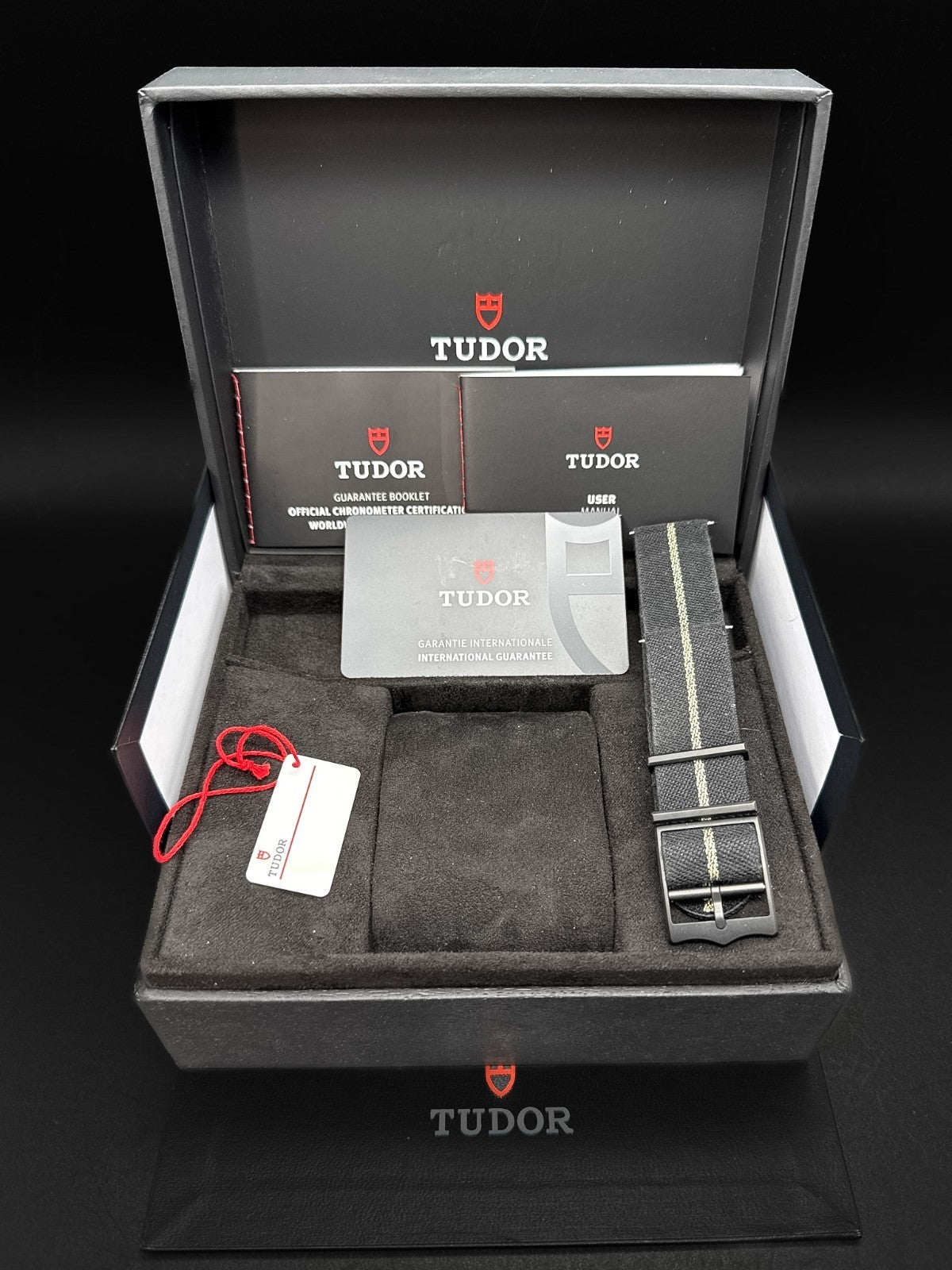 TUDOR Black Bay Ceramic M79210CNU-0001 Black Dial Automatic 41mm Watch - 202110