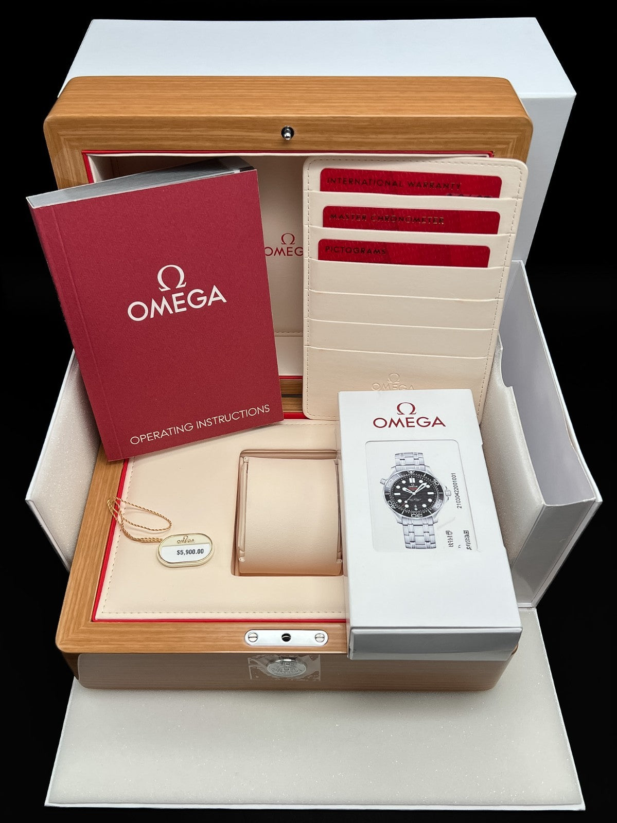 OMEGA Seamaster Diver 300M 210.30.42.20.01.001 Black Dial 42mm Watch - 202510